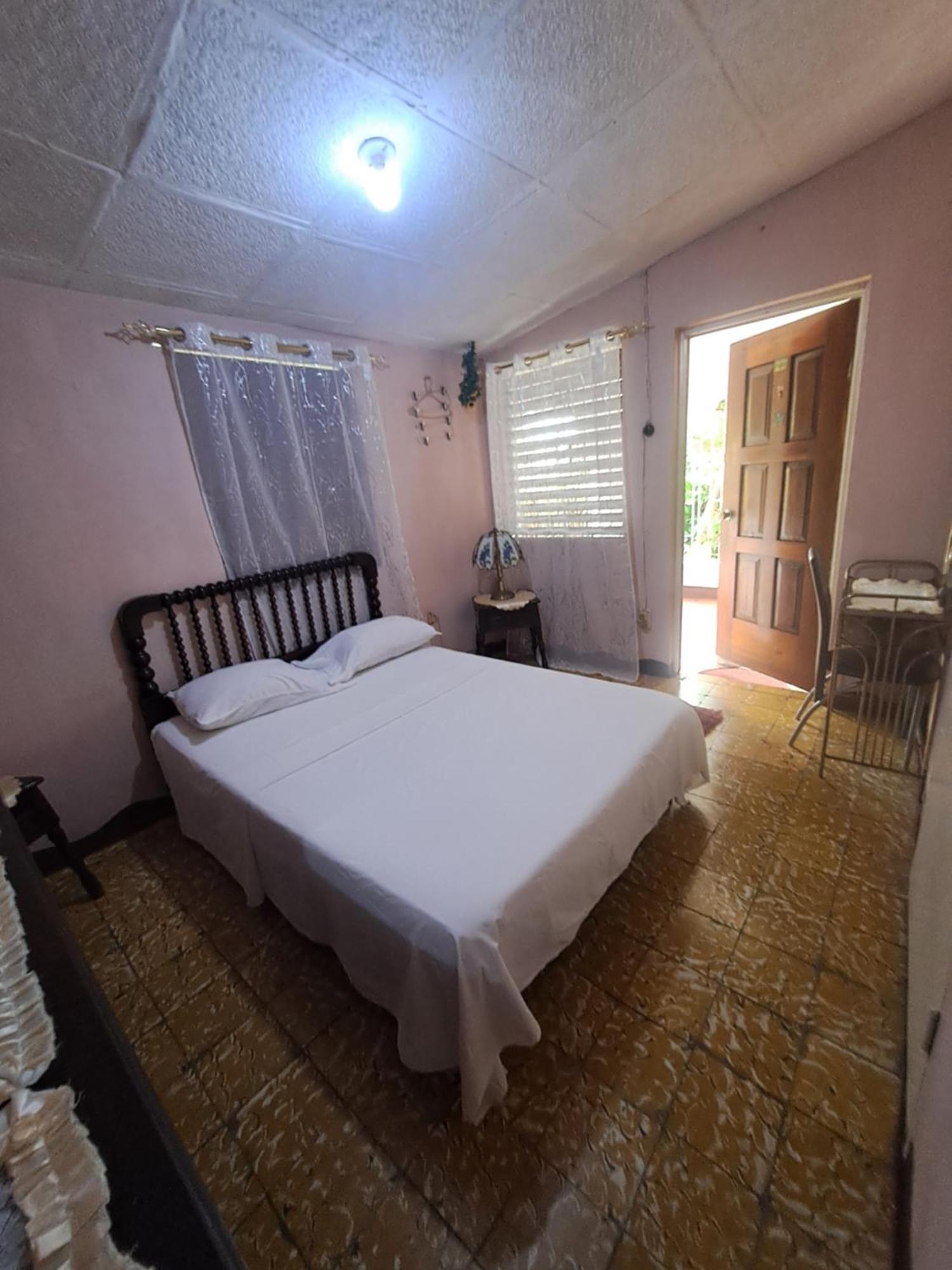 Kingston Airport Bed And Breakfast エクステリア 写真